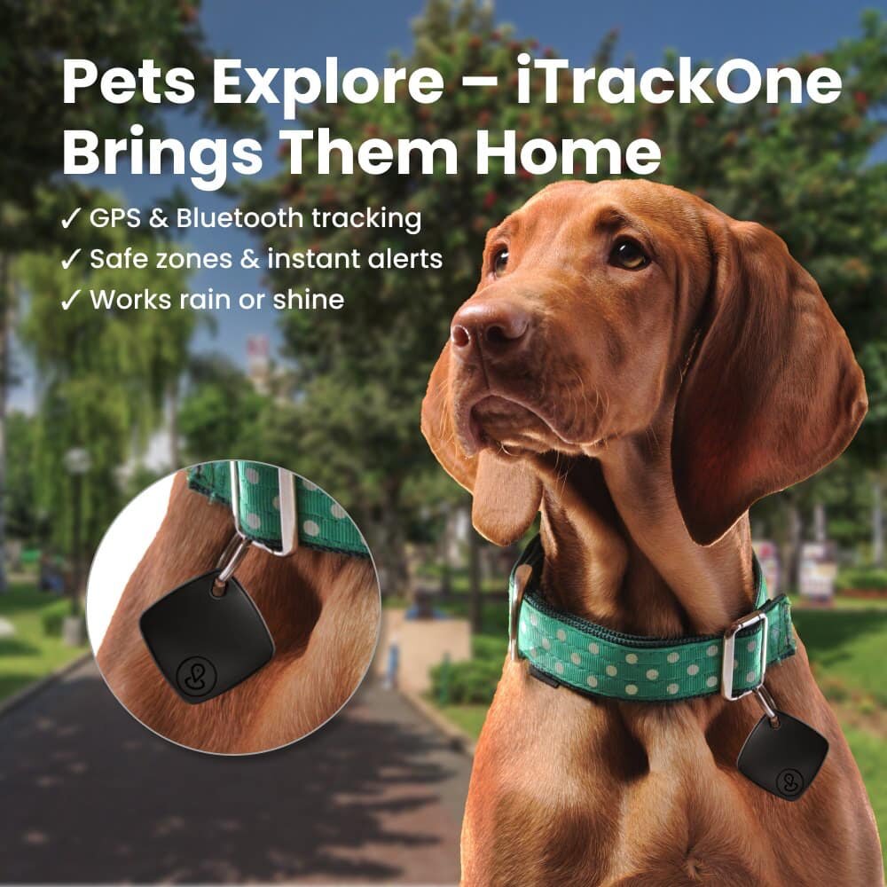 iTrackOne image